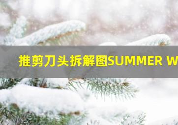 推剪刀头拆解图SUMMER WAVE